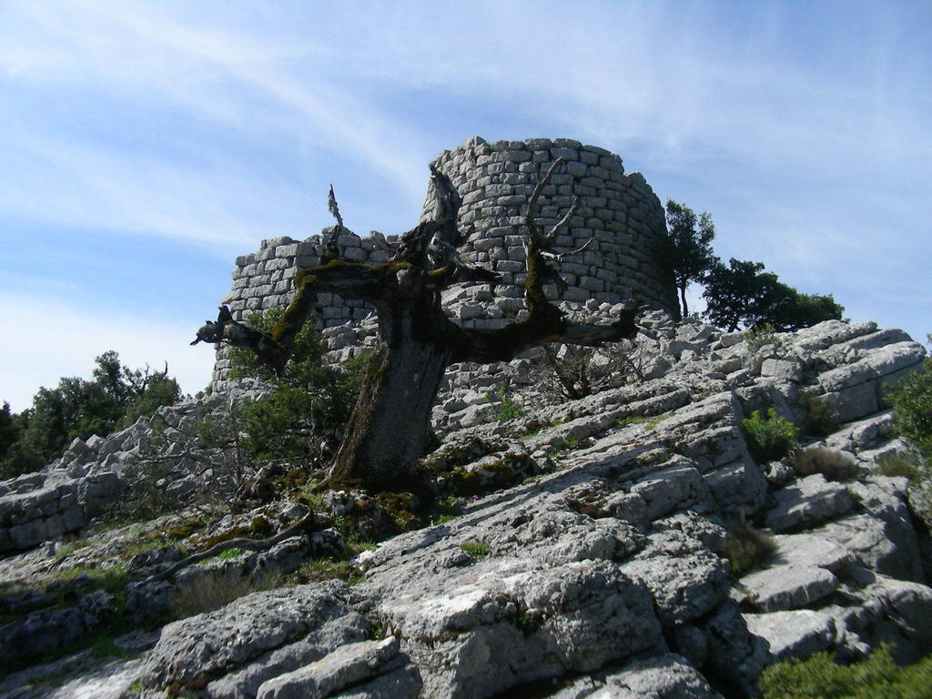 Agriturismo Didone Dorgali Exteriér fotografie